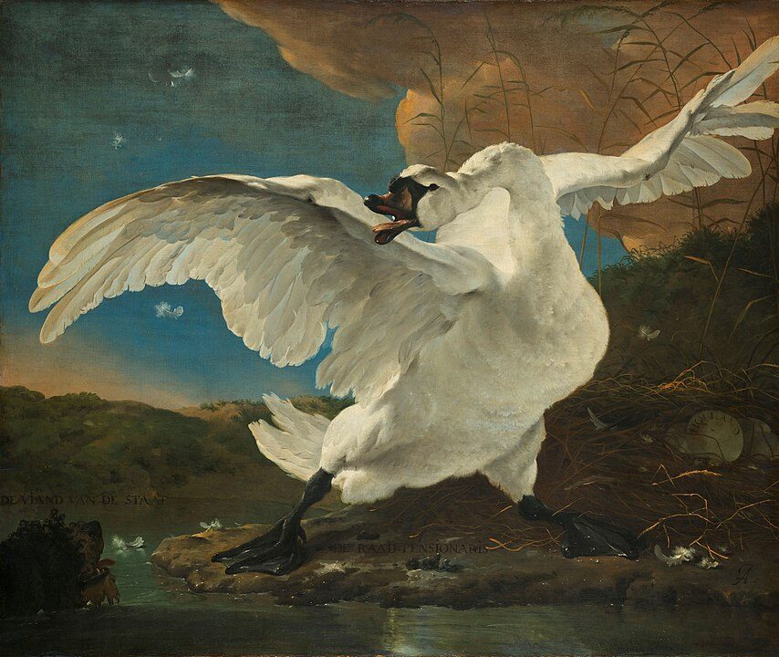 THE LEVER and its effect on white swans.